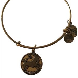 Alex and Ani Capricorn Bracelet